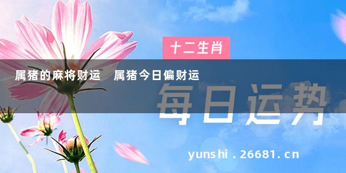 属猪的麻将财运 属猪今日偏财运